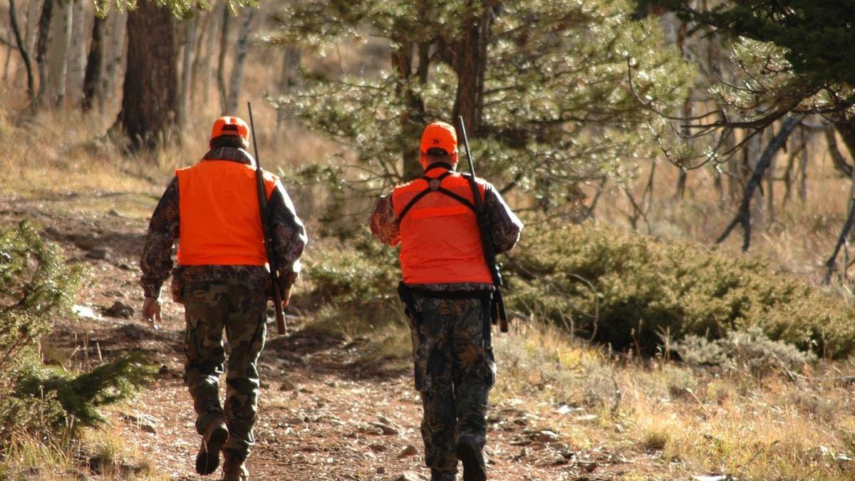 Colorado Parks and Wildlife reminds hunters they aren't immune from COVID-19.