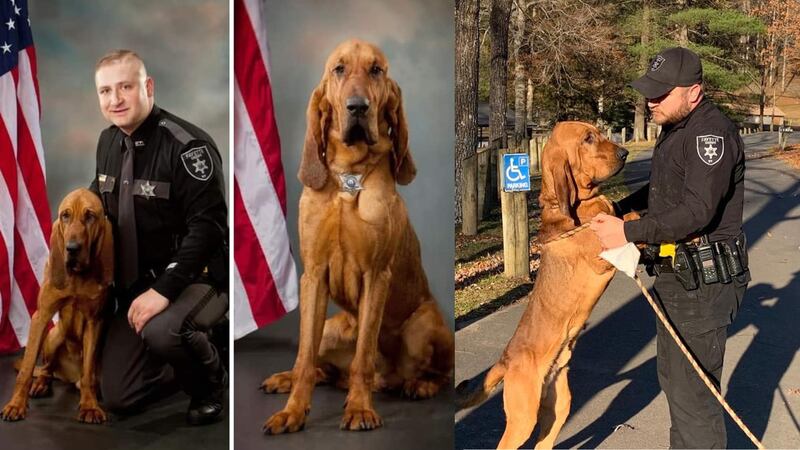 The Fayette County Sheriff’s Office said Waeylin, a 2-year-old bloodhound, died Sunday evening.