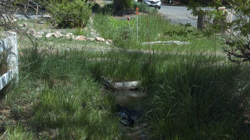 go assignment One of the possible locations where the body was found.