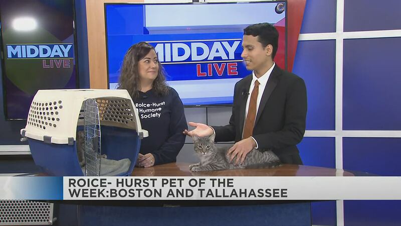 pet of the week