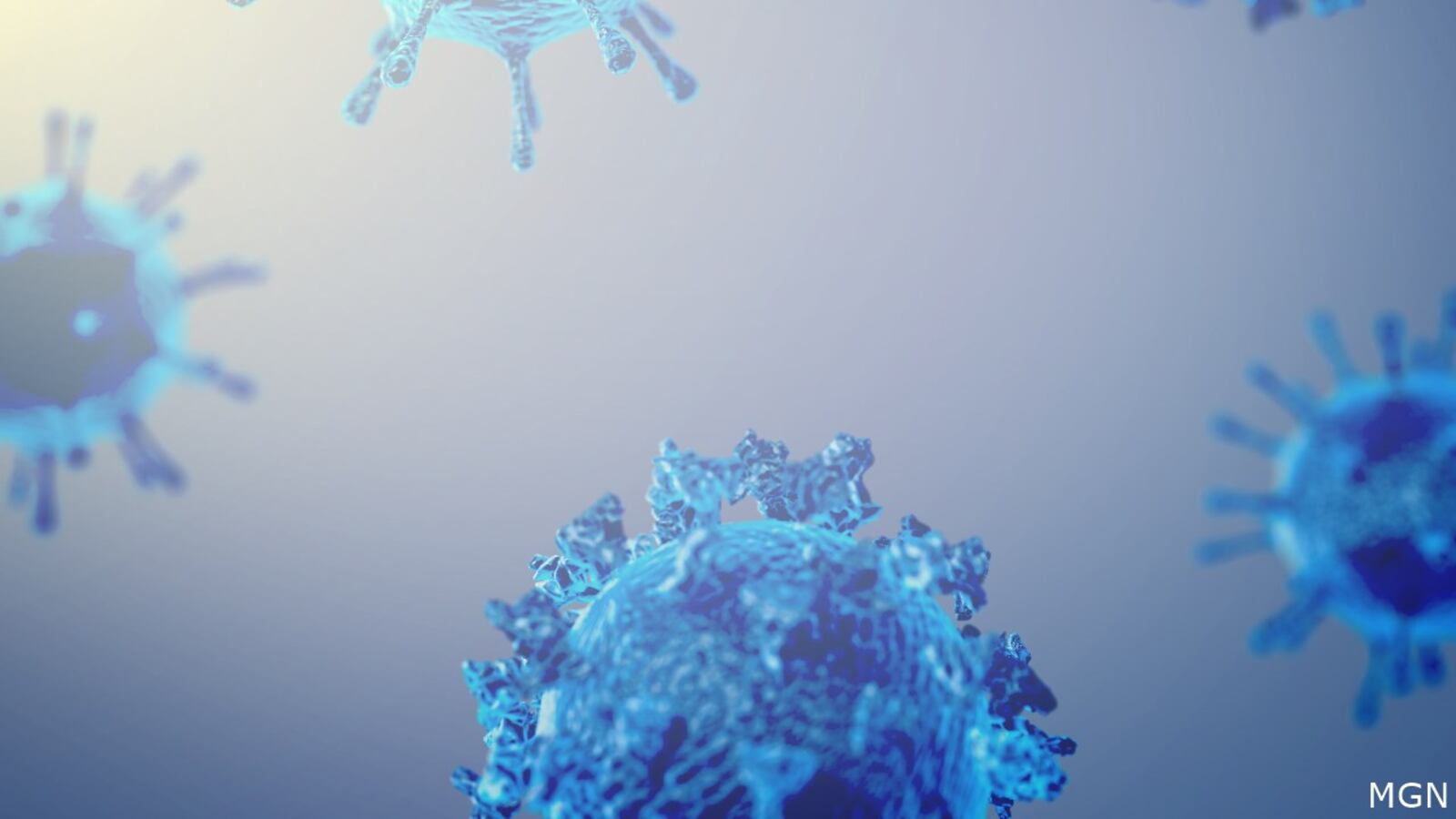 Southern Colorado Health officials investigating a case of human plague Southern Colorado Health officials investigating a case of human plague