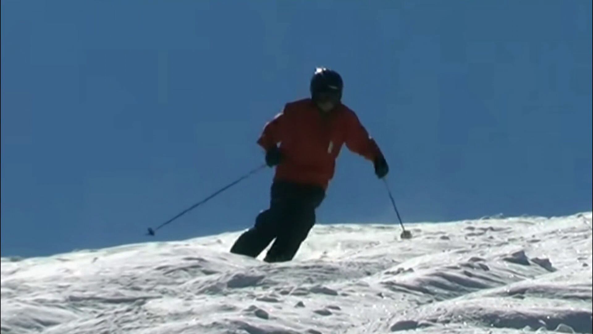 Nearly half of Colorado's ski slope fatalities this season were caused by tree collisions - Vimarsana News